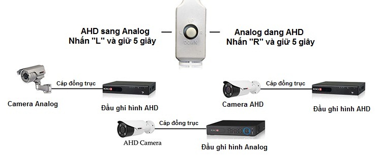 ahd-01.jpg
